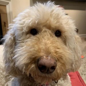 Meet your Posher, Jadyn